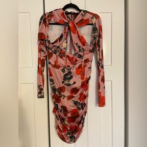 Brand new never worn sexy rose dress!